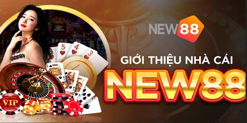 Giới thiệu các phương thức liên hệ New88