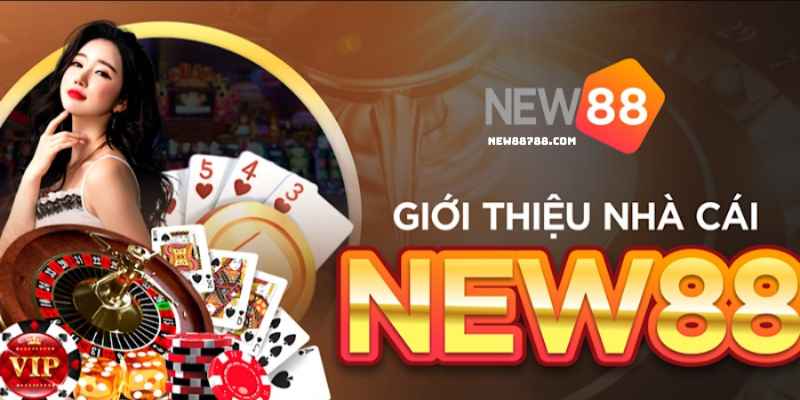 Giới thiệu chung về chính sách bảo mật của nhà cái New88